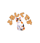おやすみにゃ～＊ねこのまったり夜（個別スタンプ：12）