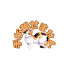 おやすみにゃ～＊ねこのまったり夜（個別スタンプ：17）