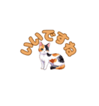 おやすみにゃ～＊ねこのまったり夜（個別スタンプ：19）