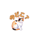 おやすみにゃ～＊ねこのまったり夜（個別スタンプ：21）