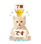 癒しにゃんこの気軽な敬語スタンプ【BIG】（個別スタンプ：1）