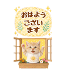 癒しにゃんこの気軽な敬語スタンプ【BIG】（個別スタンプ：5）