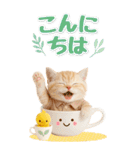 癒しにゃんこの気軽な敬語スタンプ【BIG】（個別スタンプ：7）