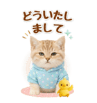 癒しにゃんこの気軽な敬語スタンプ【BIG】（個別スタンプ：12）