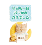 癒しにゃんこの気軽な敬語スタンプ【BIG】（個別スタンプ：15）