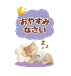 癒しにゃんこの気軽な敬語スタンプ【BIG】（個別スタンプ：16）