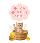 癒しにゃんこの気軽な敬語スタンプ【BIG】（個別スタンプ：17）