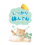 癒しにゃんこの気軽な敬語スタンプ【BIG】（個別スタンプ：18）