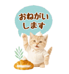 癒しにゃんこの気軽な敬語スタンプ【BIG】（個別スタンプ：20）