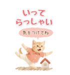 癒しにゃんこの気軽な敬語スタンプ【BIG】（個別スタンプ：22）