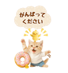 癒しにゃんこの気軽な敬語スタンプ【BIG】（個別スタンプ：23）