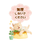癒しにゃんこの気軽な敬語スタンプ【BIG】（個別スタンプ：24）