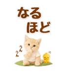 癒しにゃんこの気軽な敬語スタンプ【BIG】（個別スタンプ：26）