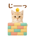 癒しにゃんこの気軽な敬語スタンプ【BIG】（個別スタンプ：28）