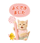 癒しにゃんこの気軽な敬語スタンプ【BIG】（個別スタンプ：30）