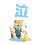 癒しにゃんこの気軽な敬語スタンプ【BIG】（個別スタンプ：40）