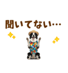 ゆるサマー★ボーダーコリースタンプ（個別スタンプ：7）