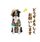ゆるサマー★ボーダーコリースタンプ（個別スタンプ：39）
