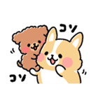 まるまるコーギー ゆるてがき（個別スタンプ：2）