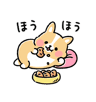 まるまるコーギー ゆるてがき（個別スタンプ：3）