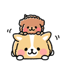 まるまるコーギー ゆるてがき（個別スタンプ：5）
