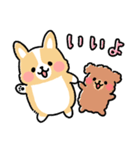 まるまるコーギー ゆるてがき（個別スタンプ：21）