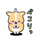 まるまるコーギー ゆるてがき（個別スタンプ：24）