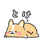 まるまるコーギー ゆるてがき（個別スタンプ：32）