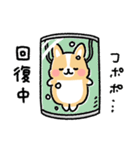 まるまるコーギー ゆるてがき（個別スタンプ：36）