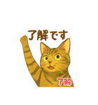 大豆くん_猫スタンプ（個別スタンプ：1）