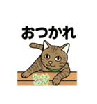 大豆くん_猫スタンプ（個別スタンプ：3）