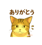 大豆くん_猫スタンプ（個別スタンプ：4）