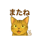 大豆くん_猫スタンプ（個別スタンプ：6）