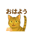 大豆くん_猫スタンプ（個別スタンプ：8）