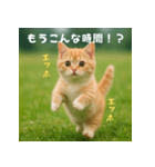 遅刻する猫：エッホエッホ（個別スタンプ：2）