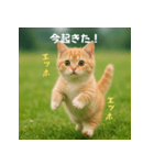 遅刻する猫：エッホエッホ（個別スタンプ：3）