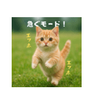 遅刻する猫：エッホエッホ（個別スタンプ：6）