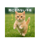 遅刻する猫：エッホエッホ（個別スタンプ：15）