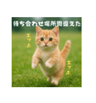 遅刻する猫：エッホエッホ（個別スタンプ：17）