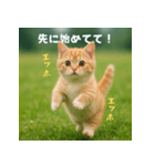 遅刻する猫：エッホエッホ（個別スタンプ：18）