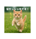 遅刻する猫：エッホエッホ（個別スタンプ：32）
