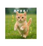 遅刻する猫：エッホエッホ（個別スタンプ：36）
