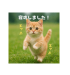 遅刻する猫：エッホエッホ（個別スタンプ：37）