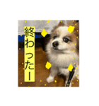 ジョイJOYスタンプ使えるスタンプ2（個別スタンプ：1）