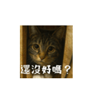 小花達ののびのび日和(台湾華語）（個別スタンプ：4）