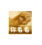 小花達ののびのび日和(台湾華語）（個別スタンプ：9）