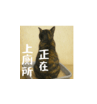 小花達ののびのび日和(台湾華語）（個別スタンプ：13）