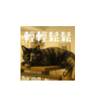 小花達ののびのび日和(台湾華語）（個別スタンプ：16）