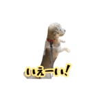あずきファンクラブ2（個別スタンプ：13）
