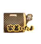 あずきファンクラブ2（個別スタンプ：15）
